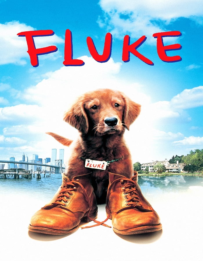 ดูหนังออนไลน์ฟรี Fluke (1995) เกิดใหม่กลายเป็นหมา