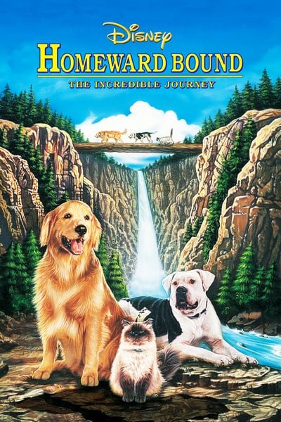 ดูหนังออนไลน์ฟรี Homeward Bound: The Incredible Journey (1993) สองหมาหนึ่งแมว ใครจะพรากเราไม่ได้