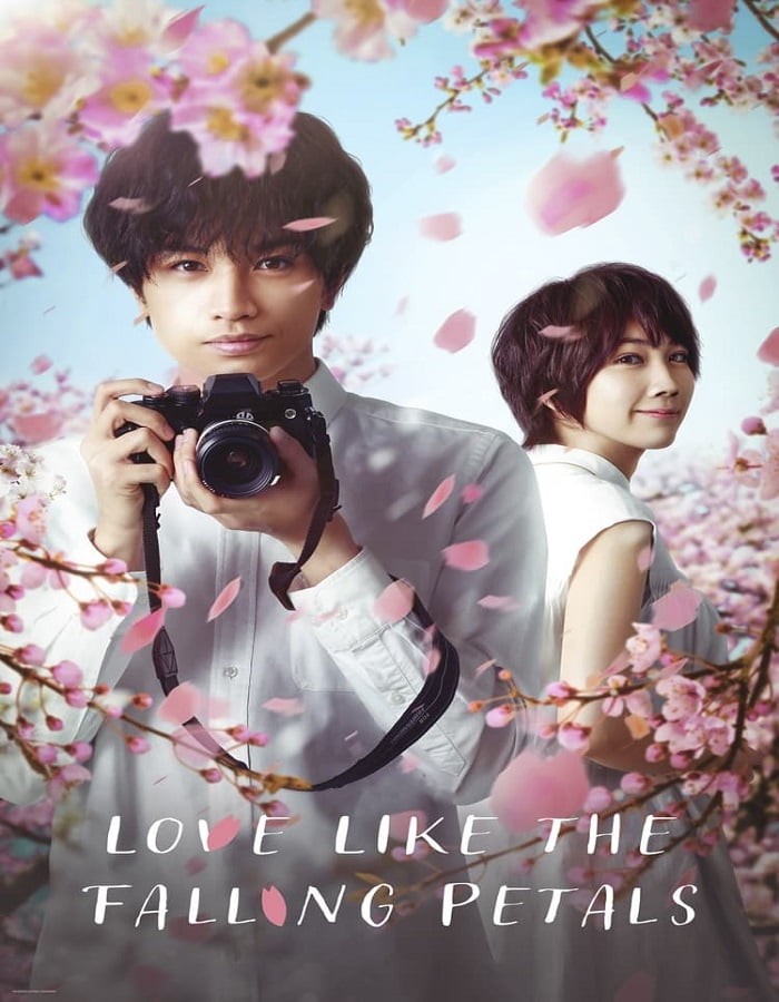 ดูหนังออนไลน์ฟรี Love Like the Falling Petals (2022) ใบไม้ผลิที่ไม่มีเธอเป็นซากุระ