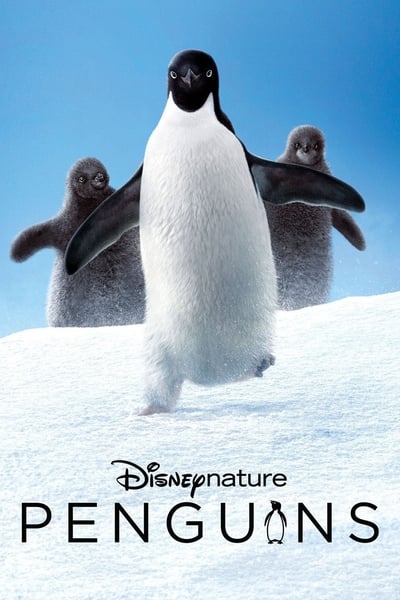 ดูหนังออนไลน์ฟรี Penguins (2019)