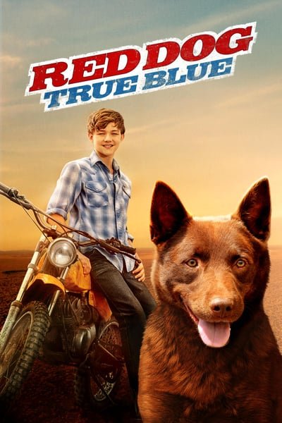 ดูหนังออนไลน์ฟรี Red Dog True Blue (2016)