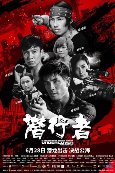 ดูหนังออนไลน์ฟรี Undercover Punch and Gun (2019) ทลายแผนอาชญกรรมระห่ำโลก